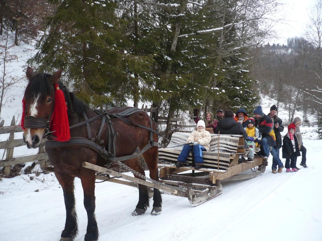 바마 Casa Bunicii Din Bucovina 빌라 객실 사진