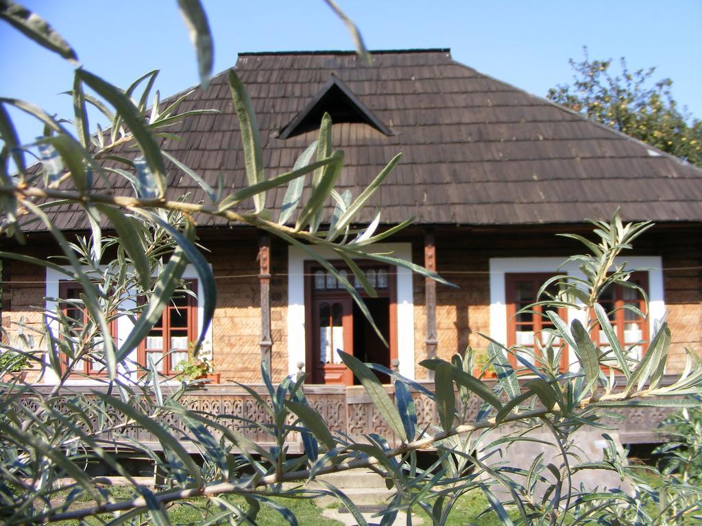 바마 Casa Bunicii Din Bucovina 빌라 외부 사진