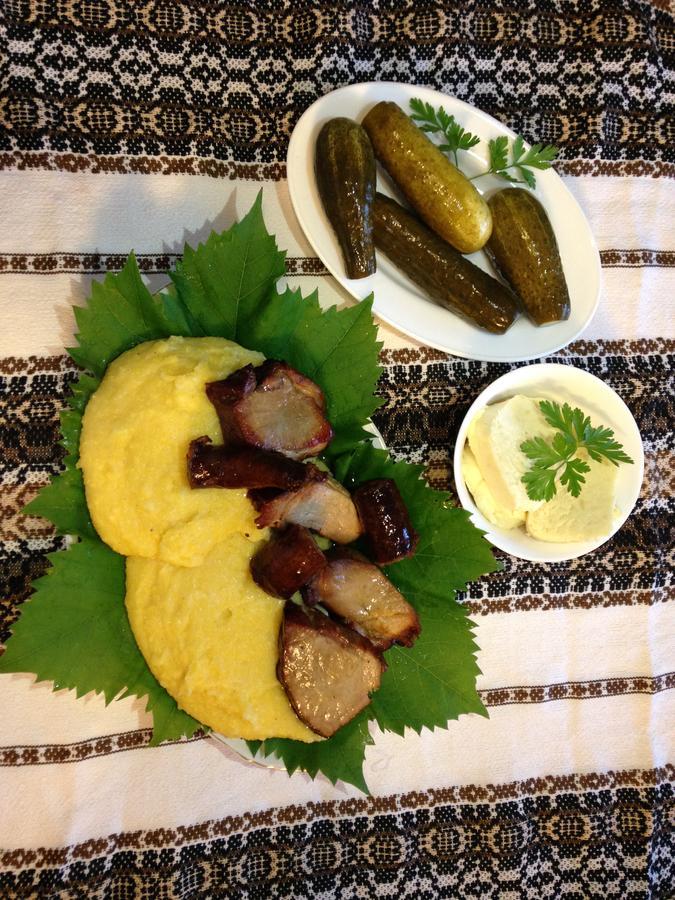 바마 Casa Bunicii Din Bucovina 빌라 외부 사진